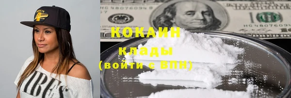 крисы Алзамай