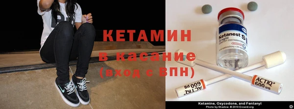 крисы Алзамай